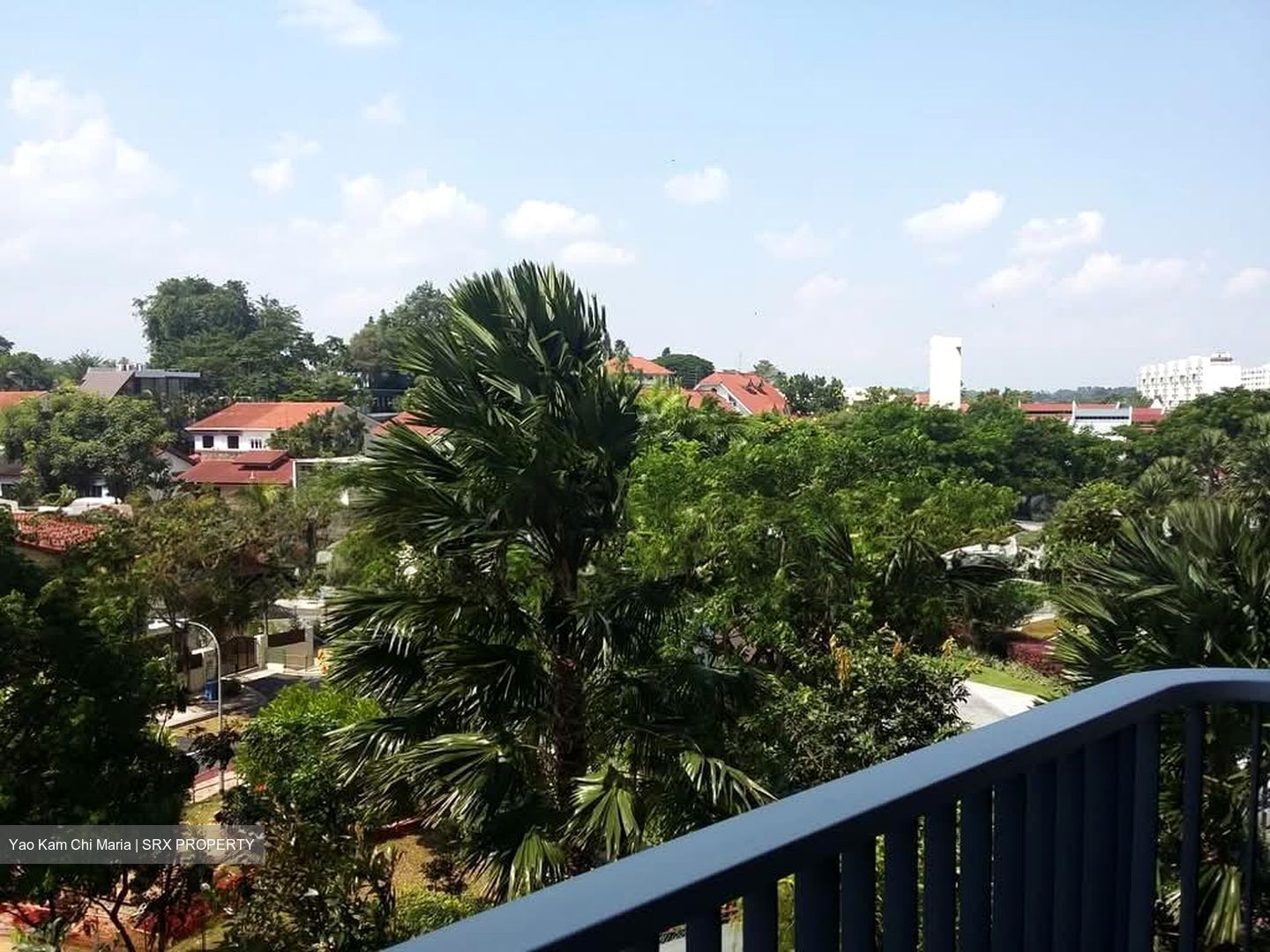 D'Leedon (D10), Condominium #584412991